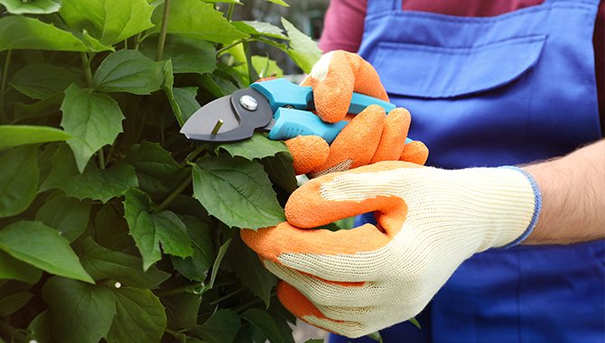 Agricultural Gloves Feature