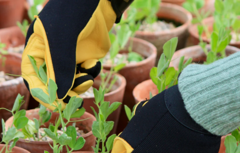 Gardening Gloves