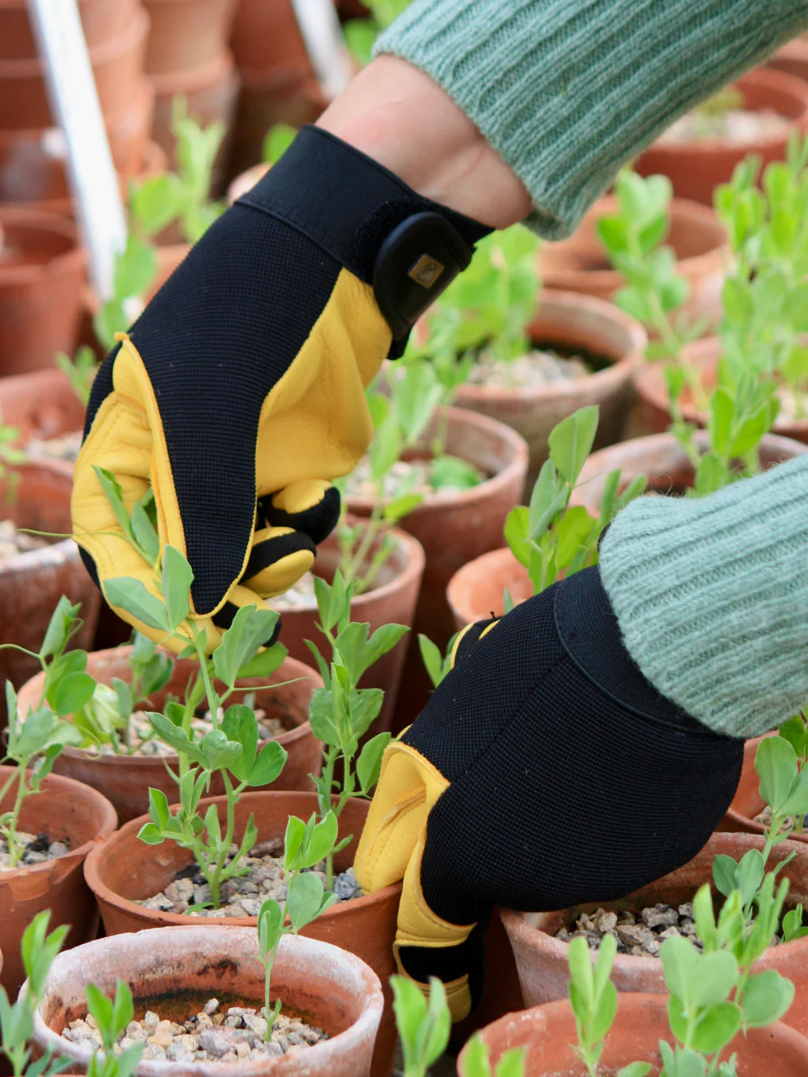 Gardening Gloves